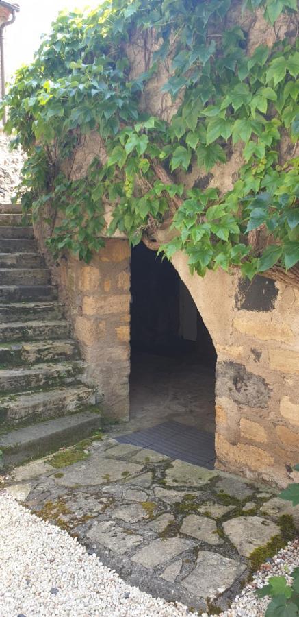 شقة La Voute Noble Saint-Saturnin  المظهر الخارجي الصورة